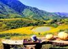 TOUR KHÁM PHÁ LAI CHÂU ĐẠI NGÀN KỲ VỸ NHẤT TÂY BẮC (1N)