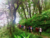 TOUR KHÁM PHÁ CON ĐƯỜNG ĐÁ CỔ PAVI - TRẢI NGHIỆM SIN SUỐI HỒ (3N2D)