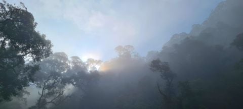TOUR - TRẢI NGHIỆM SAPA - Ô QUÝ HỒ - LAI CHÂU (SA Ô LAI) ( 3N2D)