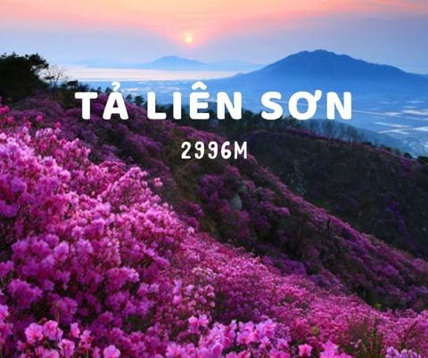 TOUR - CHINH PHỤC ĐỈNH TẢ LIÊN SƠN 2.996M – LẠC LỐI TRONG KHU VƯỜN CỔ TÍCH (2N1D)