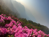 TOUR CHINH PHỤC ĐỈNH PU TA LENG 3.049 M – ĐẮM SAY KHU VƯỜN CỔ TÍCH