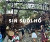 TOUR - HÀ NỘI - BẢN SIN SUỐI HỒ - CHỢ PHIÊN SAN THÀNG - HÀ NỘI ( 2N1D)