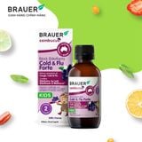  Thực phẩm bảo vệ sức khỏe BLACK ELDERBERRY COLD &  FLU FORTE 