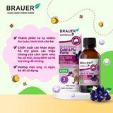  Thực phẩm bảo vệ sức khỏe BLACK ELDERBERRY COLD &  FLU FORTE 