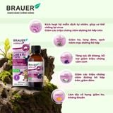  Thực phẩm bảo vệ sức khỏe BLACK ELDERBERRY COLD &  FLU FORTE 