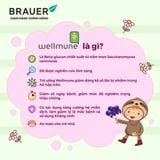  Thực phẩm bảo vệ sức khỏe BLACK ELDERBERRY COLD &  FLU FORTE 