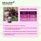  Thực phẩm bảo vệ sức khỏe BLACK ELDERBERRY COLD &  FLU FORTE 