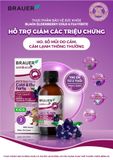  Thực phẩm bảo vệ sức khỏe BLACK ELDERBERRY COLD &  FLU FORTE 