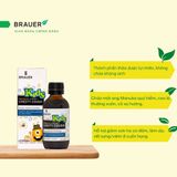  Thực phẩm bảo vệ sức khỏe BRAUER HONEY KIDS CHESTY COUGH 100ML 