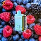  Geekbar Pulse Disposable Pod 15000 Puffs 