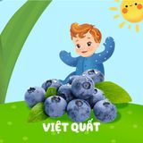  Sữa lắc trái cây vị việt quất Agusha 190ml dành cho bé từ 12 tháng trở lên 