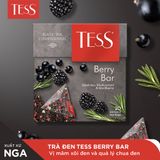  Trà đen Tess Berry Bar vị mâm xôi đen và quả lý chua đen 20 gói/hộp 