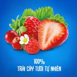  Trái Cây Nghiền bổ sung Vitamin, hỗ trợ tiêu hóa vị Nam việt quất, Dâu tây,Dâu rừng và Táo Agusha 80g/túi 