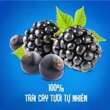  Trái Cây Nghiền bổ sung Vitamin hỗ trợ tiêu hóa vị táo,mâm xôi đen,nho đen Agusha 80g/túi 