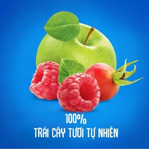  Trái cây nghiền vị táo, mâm xôi và tầm xuân Agusha 90g dành cho bé từ 6 tháng trở lên 