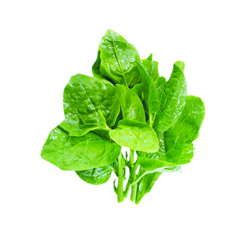  OG FVF Mồng tơi Organic 300 Gram 