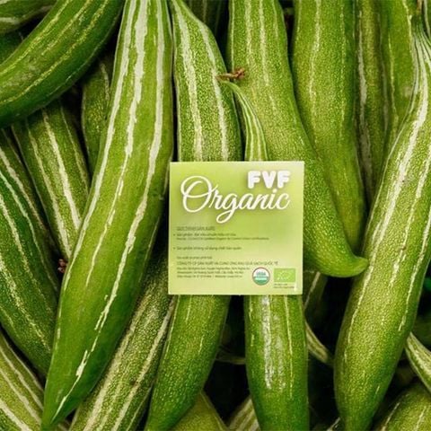  OG FVF Lặc lè 500 Gram 