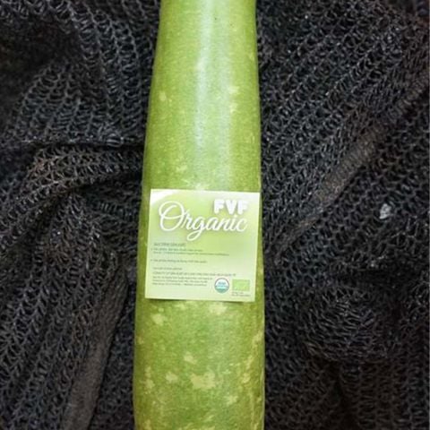  RAC FVF Bầu sao 1 KG 