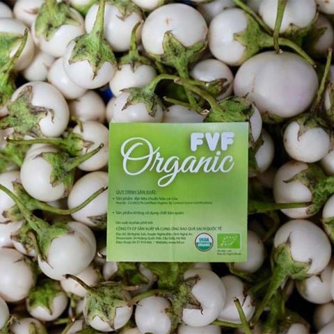  RAC FVF Cà pháo trắng 500 Gram 