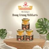  Avanest Yến Chưng Vị Đông Trùng Militaris 