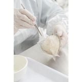  Yến đảo tinh chế Avanest [Ava tiêu chuẩn 1 mặt] 