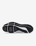 Giày Nike Air Zoom Pegasus 39 Core Black Dh4071-001