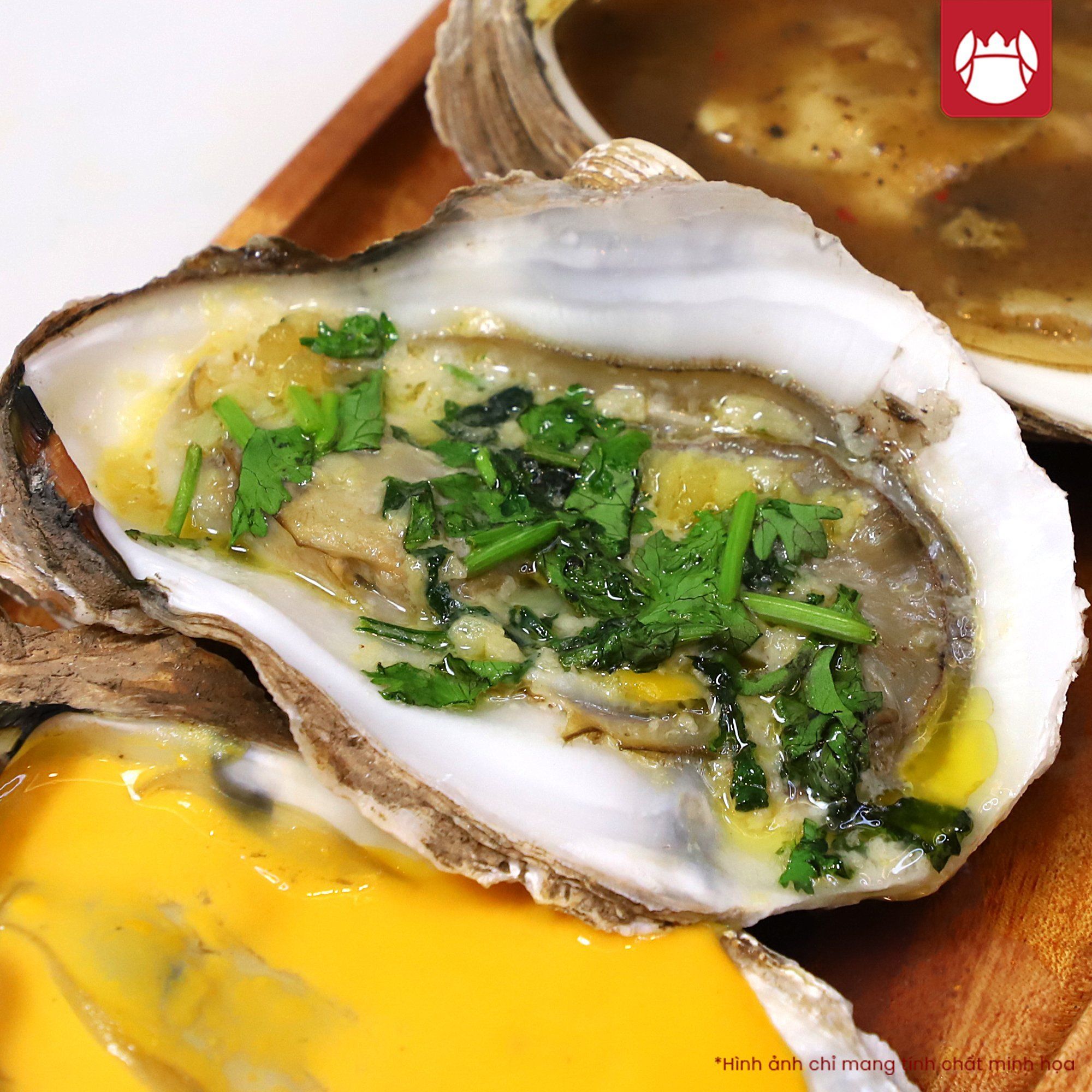 hình ảnh  biển đá nhà hàng thú vật món ăn Sản xuất thực đơn con hàu  Hải sản tươi thị trường Cá khỏe mạnh Động vật có vỏ Động vật không