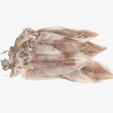 Mực Ống Câu Sống - Line Caught Squid 