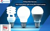  Chứng nhận hợp quy về hàm lượng thủy ngân trong đèn huỳnh quang- QCVN 02A:2020/BCT 