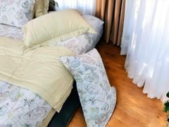 Ga giường TC 60s viền bèo - JD21