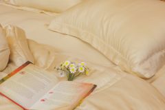 GA GIƯỜNG TC 60s MÀU TC-17 BE