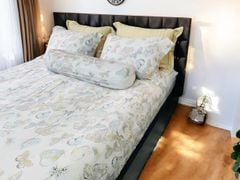 Ga giường TC 60s viền bèo - JD21