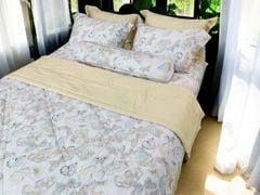 Ga giường TC 60s viền bèo - JD21