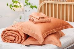 GA GIƯỜNG TC 60s MÀU TC-13 CAM GẠCH