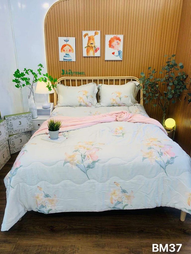 Ga giường TC 60s - BM37