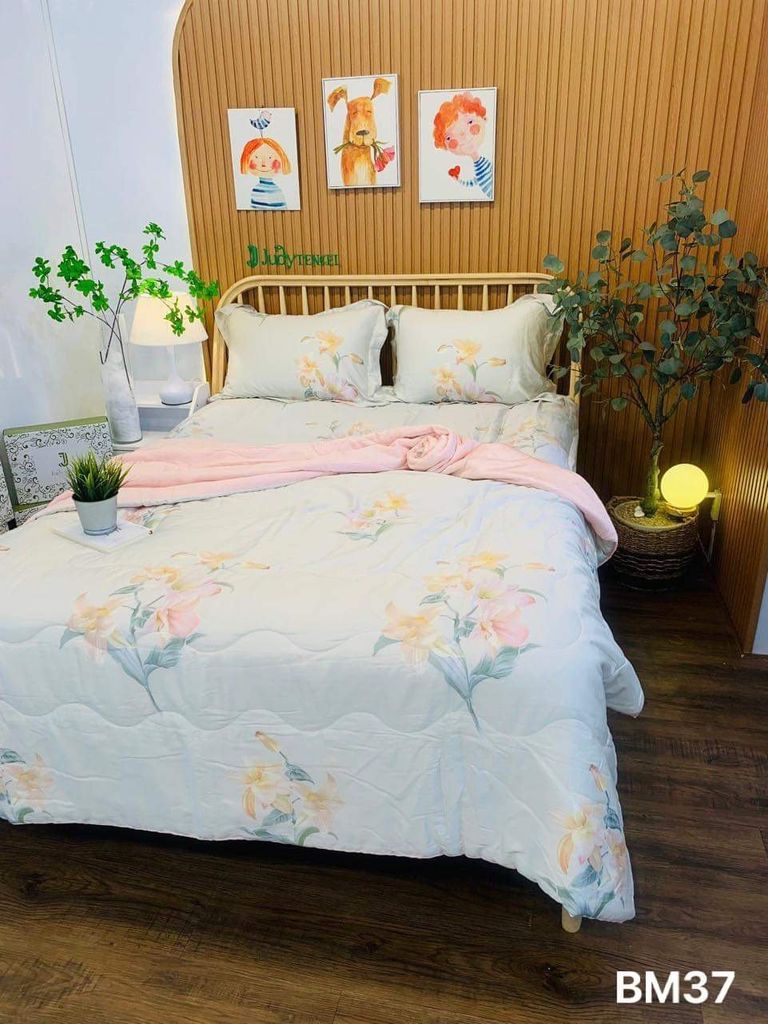 Ga giường TC 60s - BM37