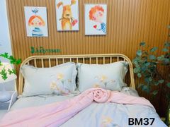 Ga giường TC 60s - BM37