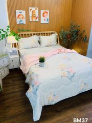 Ga giường TC 60s - BM37