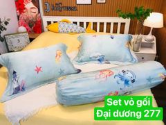 Set vỏ gối lẻ TC 60s-80s