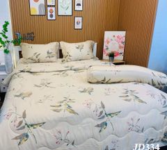 Ga giường TC 60s - JD334