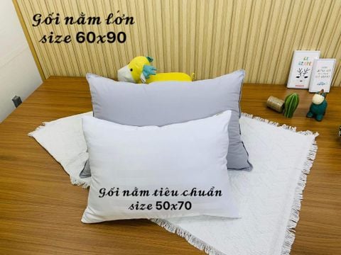 Gối nằm người lớn bigsize 60x90