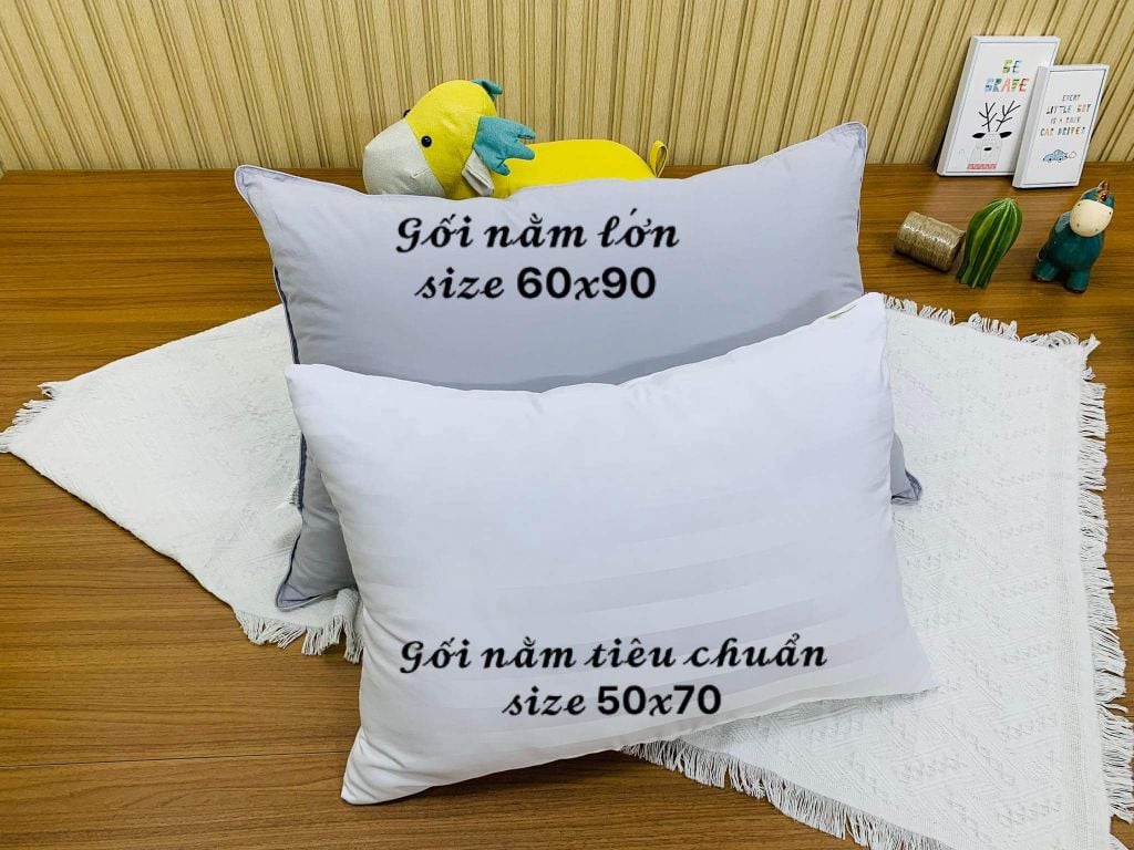 Gối nằm người lớn bigsize 60x90