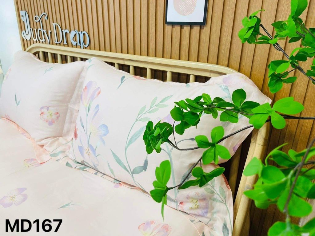 Ga giường TC Modal - MD167