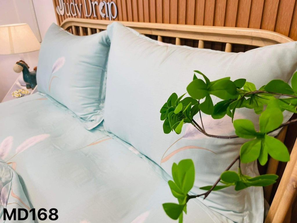 Ga giường TC Modal - MD168