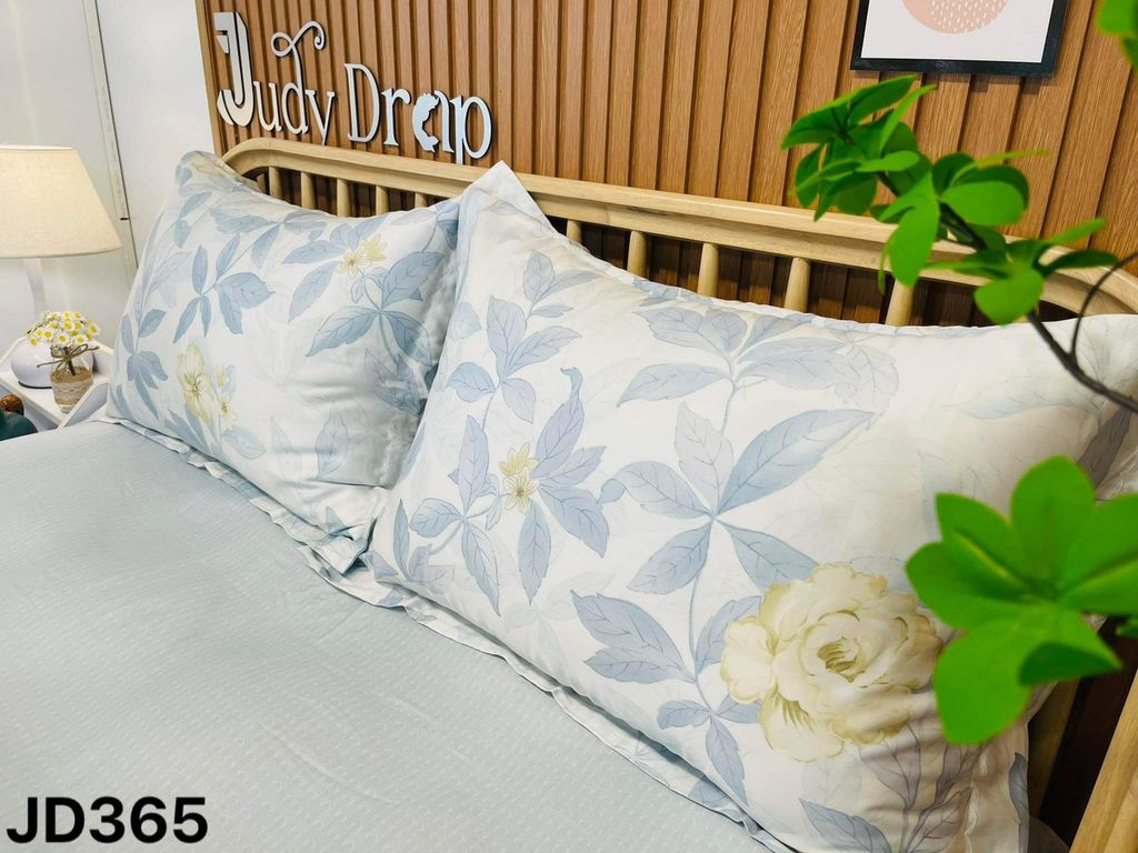 Ga giường TC 60s - JD365