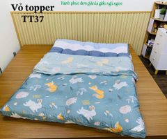 Vỏ topper 1mx2m