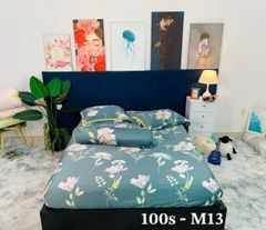 TENCEL 100s HỌA TIẾT - SET GA 4 MÓN KHÔNG CHĂN