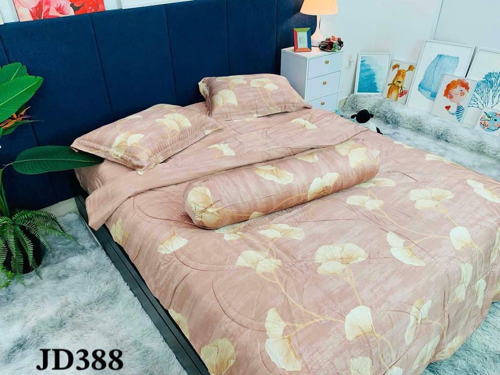 Ga giường TC 60s - JD388