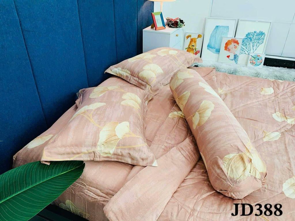 Ga giường TC 60s - JD388
