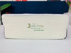 NỆM FOAM MỀM MỘT LỚP JUDY DRAP VẢI BĂNG LẠNH